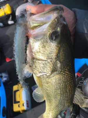 hideup 永野総一朗 ブログ写真 2018/11/07