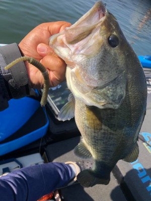 hideup 永野総一朗 ブログ写真 2018/11/08