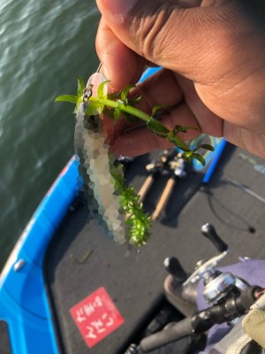 hideup 永野総一朗 ブログ写真 2018/11/08