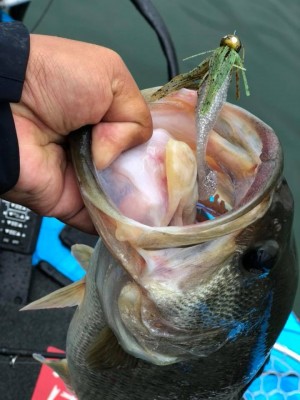 hideup 永野総一朗 ブログ写真 2018/11/09