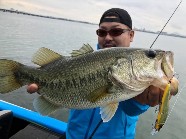 hideup 永野総一朗 ブログ写真 2018/11/09
