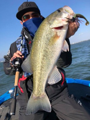 hideup 永野総一朗 ブログ写真 2018/11/11