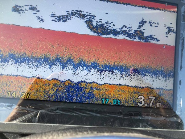 hideup 永野総一朗 ブログ写真 2018/11/11