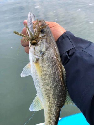 hideup 永野総一朗 ブログ写真 2018/11/13