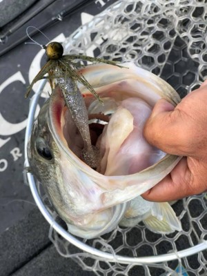 hideup 永野総一朗 ブログ写真 2018/11/13