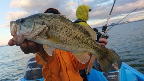 hideup 永野総一朗 ブログ写真 2018/11/14