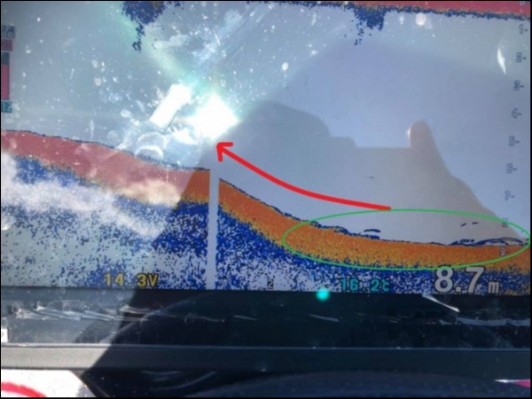 hideup 永野総一朗 ブログ写真 2018/11/16