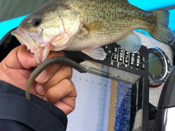 hideup 永野総一朗 ブログ写真 2018/11/17