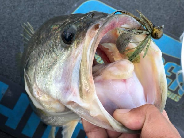 hideup 永野総一朗 ブログ写真 2018/11/17