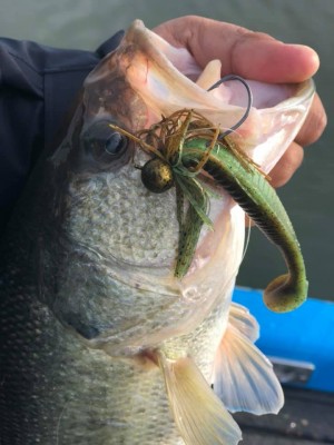 hideup 永野総一朗 ブログ写真 2018/11/17