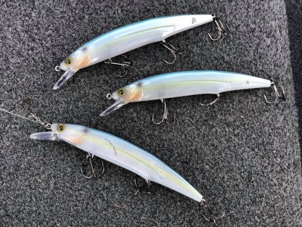 hideup 永野総一朗 ブログ写真 2018/12/01