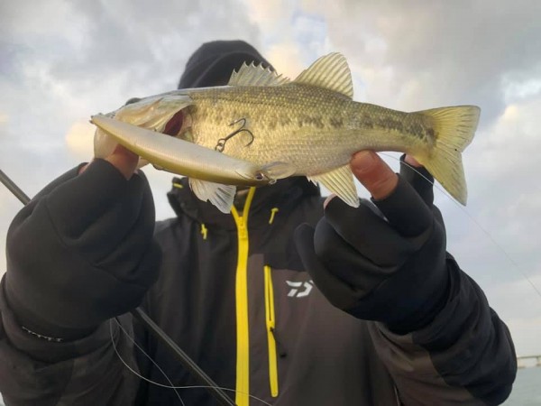 hideup 永野総一朗 ブログ写真 2018/12/01