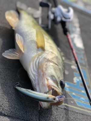 hideup 永野総一朗 ブログ写真 2018/12/01