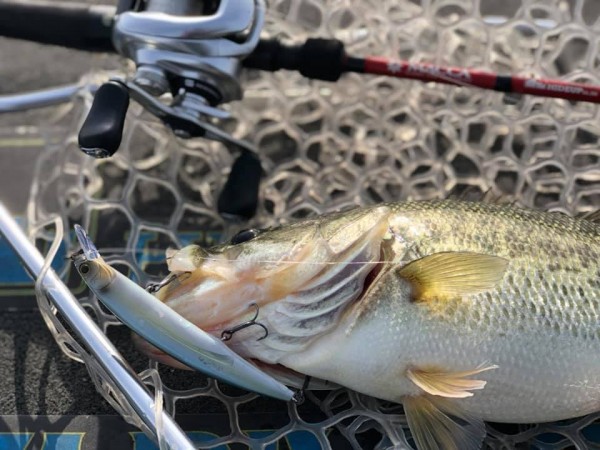 hideup 永野総一朗 ブログ写真 2018/12/01