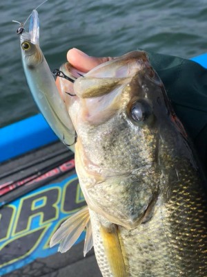 hideup 永野総一朗 ブログ写真 2018/12/01