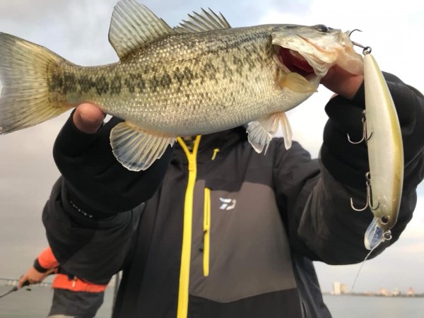 hideup 永野総一朗 ブログ写真 2018/12/01