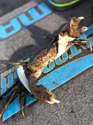 hideup 永野総一朗 ブログ写真 2018/12/04