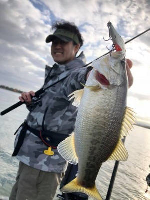 hideup 永野総一朗 ブログ写真 2018/12/05