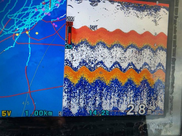 hideup 永野総一朗 ブログ写真 2018/12/05