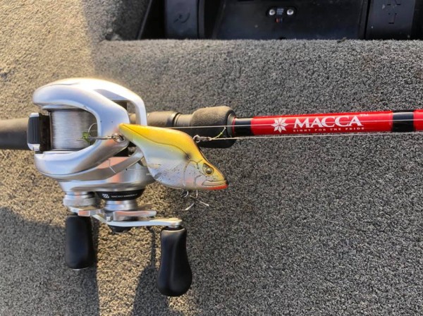 hideup 永野総一朗 ブログ写真 2018/12/05