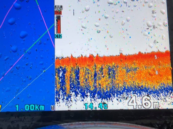 hideup 永野総一朗 ブログ写真 2018/12/08