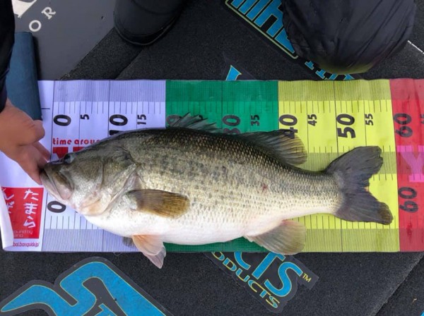 hideup 永野総一朗 ブログ写真 2018/12/08