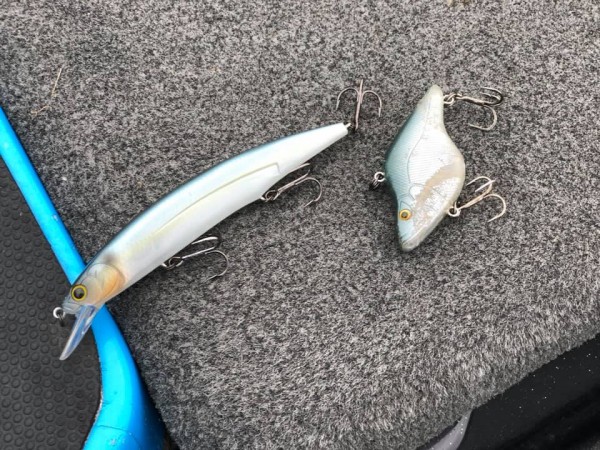 hideup 永野総一朗 ブログ写真 2018/12/08