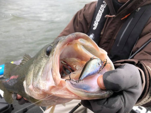 hideup 永野総一朗 ブログ写真 2018/12/10