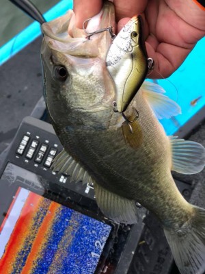 hideup 永野総一朗 ブログ写真 2018/12/10