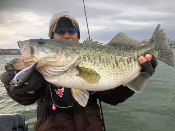 hideup 永野総一朗 ブログ写真 2018/12/10