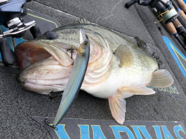 hideup 永野総一朗 ブログ写真 2018/12/11