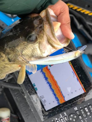 hideup 永野総一朗 ブログ写真 2018/12/11