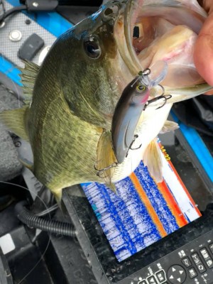 hideup 永野総一朗 ブログ写真 2018/12/14