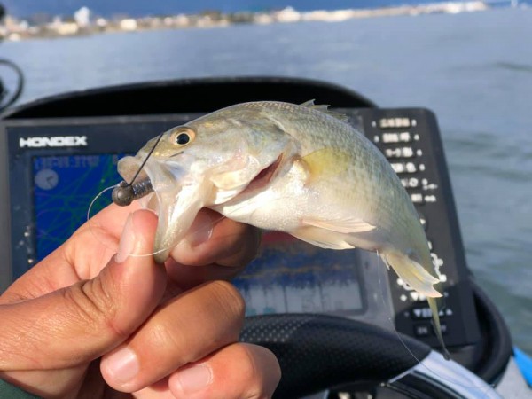 hideup 永野総一朗 ブログ写真 2018/12/15