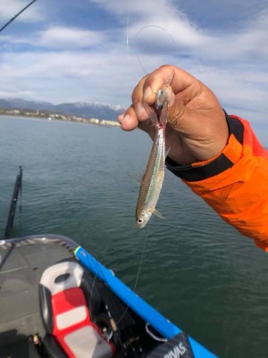 hideup 永野総一朗 ブログ写真 2018/12/17