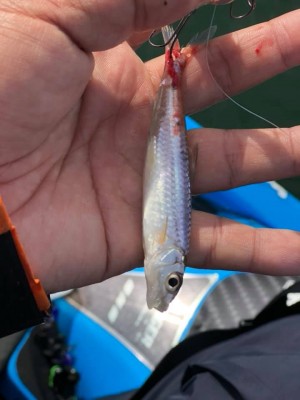 hideup 永野総一朗 ブログ写真 2018/12/17