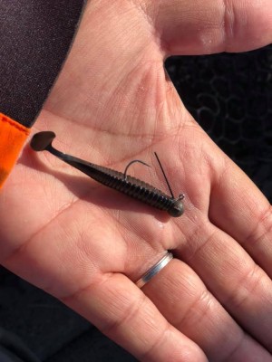 hideup 永野総一朗 ブログ写真 2018/12/17