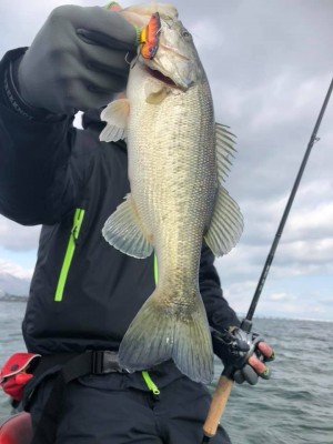 hideup 永野総一朗 ブログ写真 2018/12/19