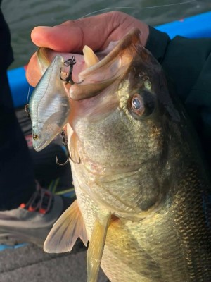 hideup 永野総一朗 ブログ写真 2018/12/19