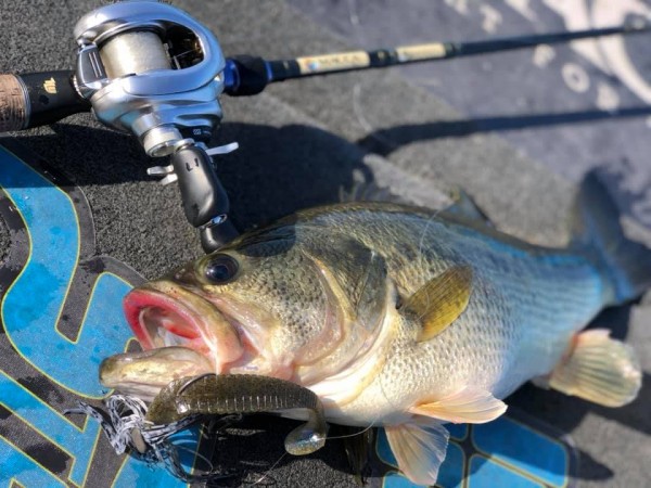 hideup 永野総一朗 ブログ写真 2018/12/22