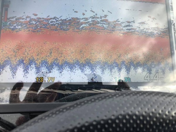 hideup 永野総一朗 ブログ写真 2018/12/24