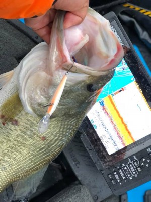 hideup 永野総一朗 ブログ写真 2018/12/27