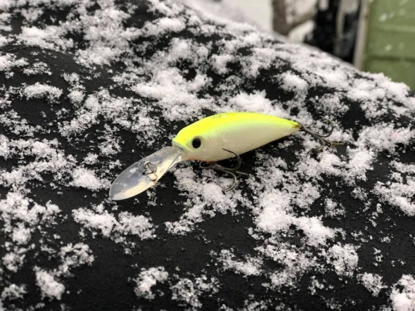 hideup 永野総一朗 ブログ写真 2018/12/28