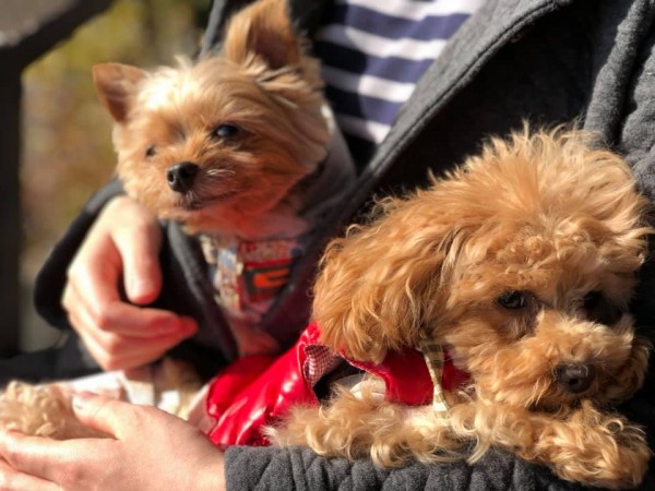 hideup 永野総一朗 ブログ写真 2019/01/05