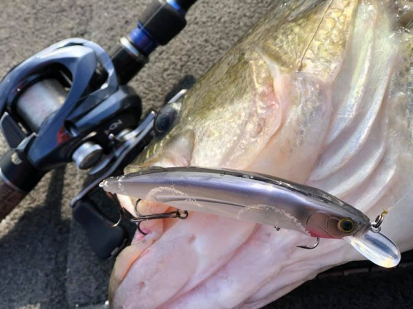 hideup 永野総一朗 ブログ写真 2019/01/08