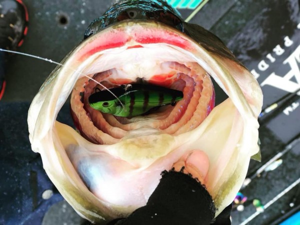 hideup 永野総一朗 ブログ写真 2019/01/09