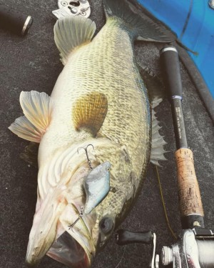 hideup 永野総一朗 ブログ写真 2019/01/09