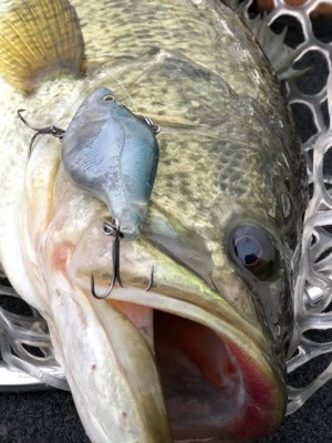 hideup 永野総一朗 ブログ写真 2019/01/09