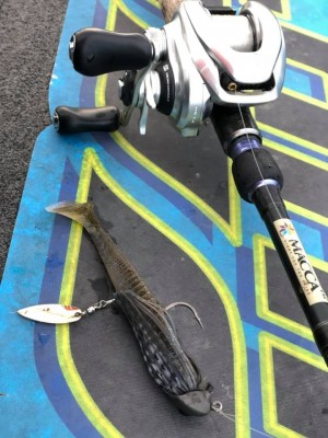 hideup 永野総一朗 ブログ写真 2019/01/12