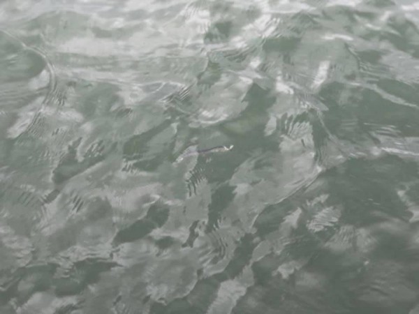 hideup 永野総一朗 ブログ写真 2019/01/13